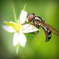 /album/industrial9injury/photolia-a02-jpg/