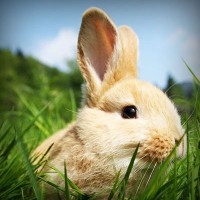 /album/industrial9injury/photolia-a03-jpg/