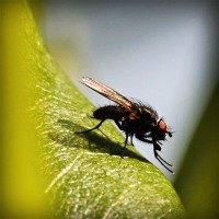 /album/industrial9injury/photolia-a04-jpg/