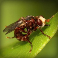 /album/industrial9injury/photolia-a06-jpg/