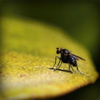 /album/industrial9injury/photolia-a07-jpg/