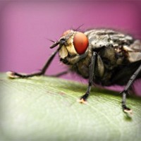 /album/industrial9injury/photolia-a08-jpg/